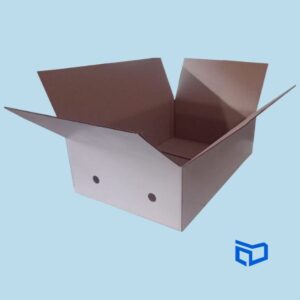 Cajas para fruta de carton corrugado