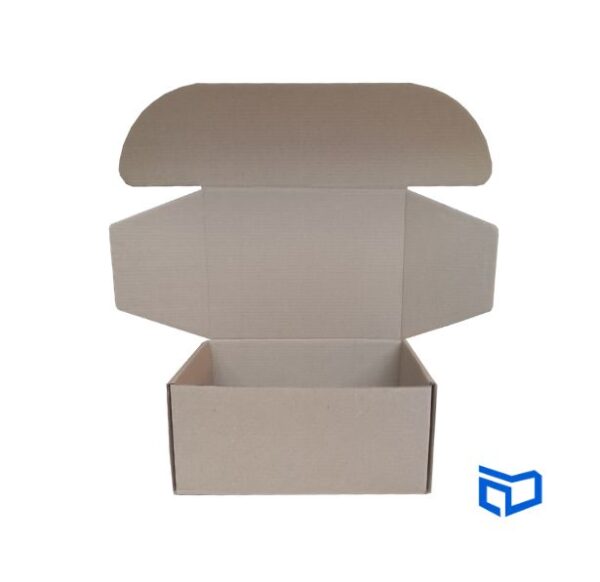 Caja postal 20x15x9cm de carton