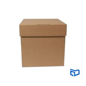 Caja cubo 20x20cm de carton