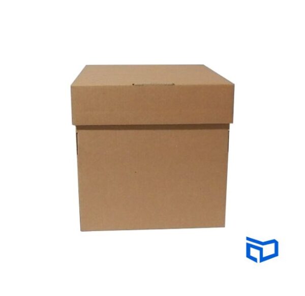 Caja cubo 20x20cm de carton