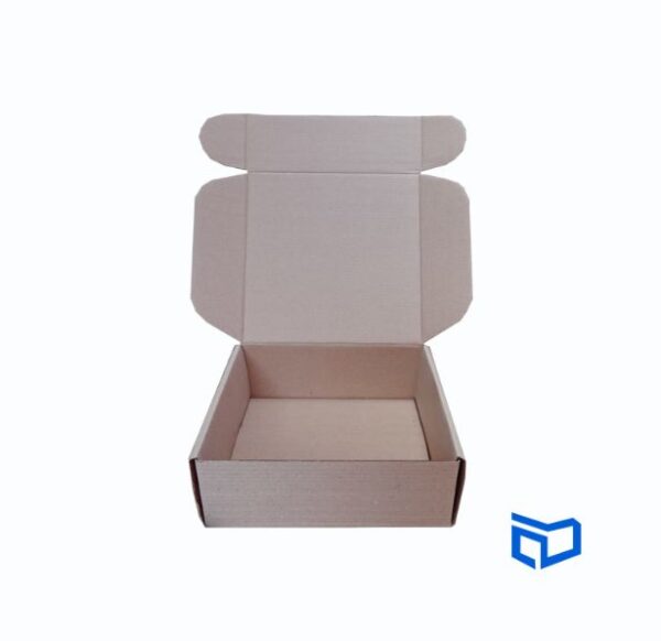CAJA POSTAL 17X17X6CM