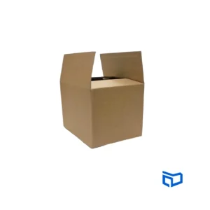 CAJA DE CARTON MICROCORRUGADO 18X13X12