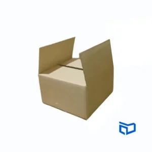 Caja de Cartón 22x20x12cm