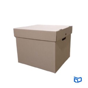 Cajas archivadoras de cartón