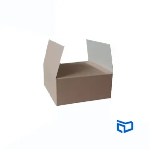 Caja de Cartón 20x20x9cm