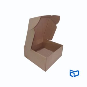 Caja de cartón de e-commerce con tapa abierta, dimensiones 20x20x9 cm, lista para ser utilizada.