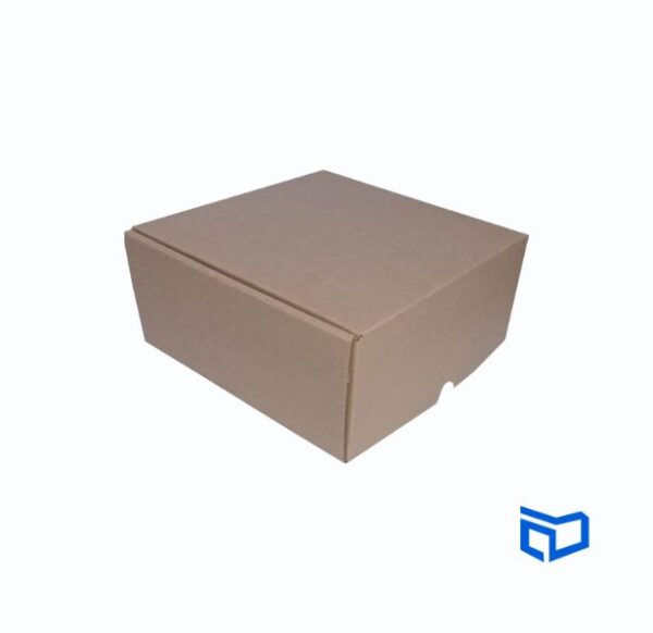 Caja E-commerce 20x20x9cm - Imagen 2